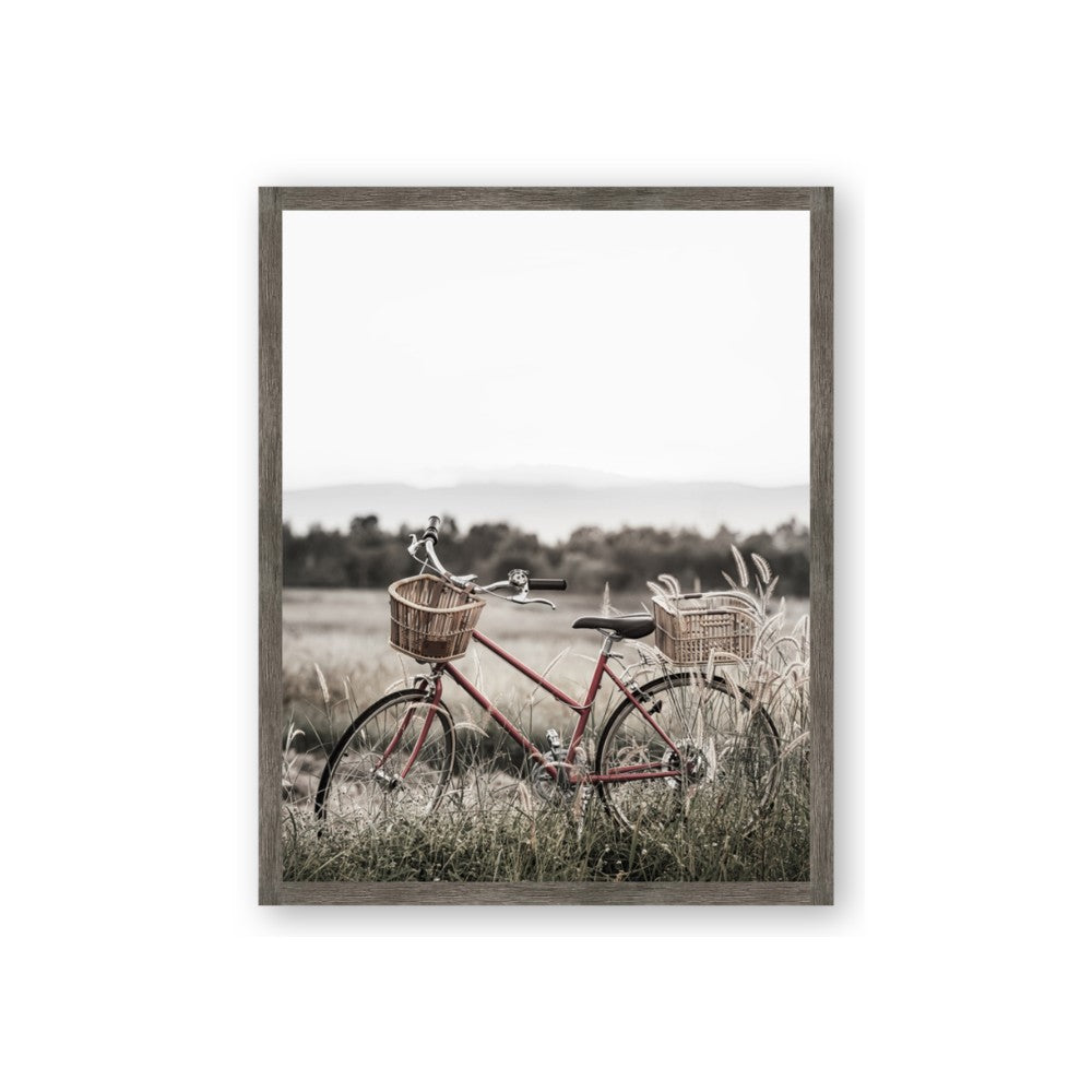 Bicycle Basket