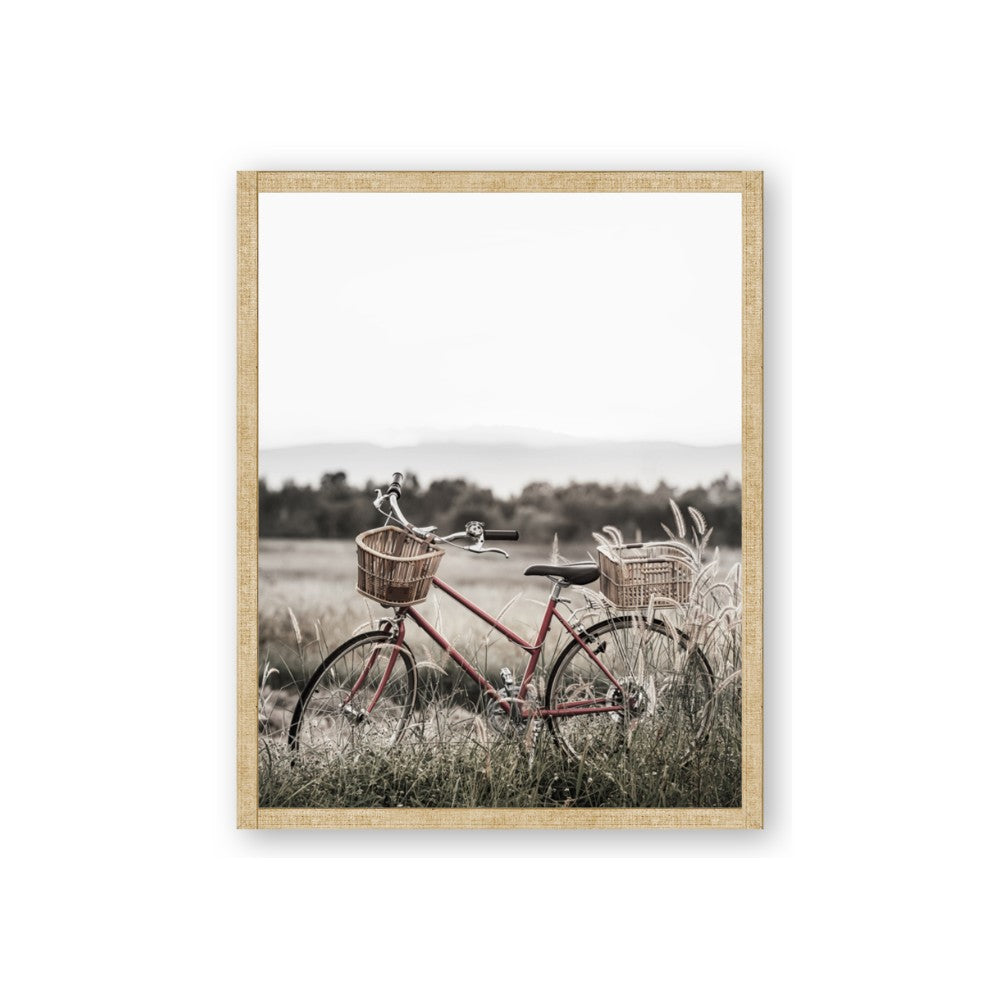 Bicycle Basket