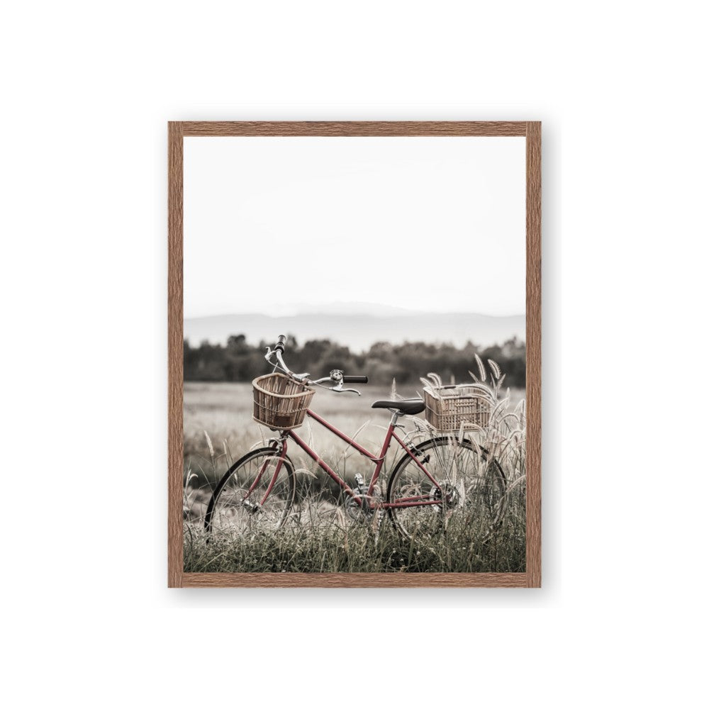 Bicycle Basket
