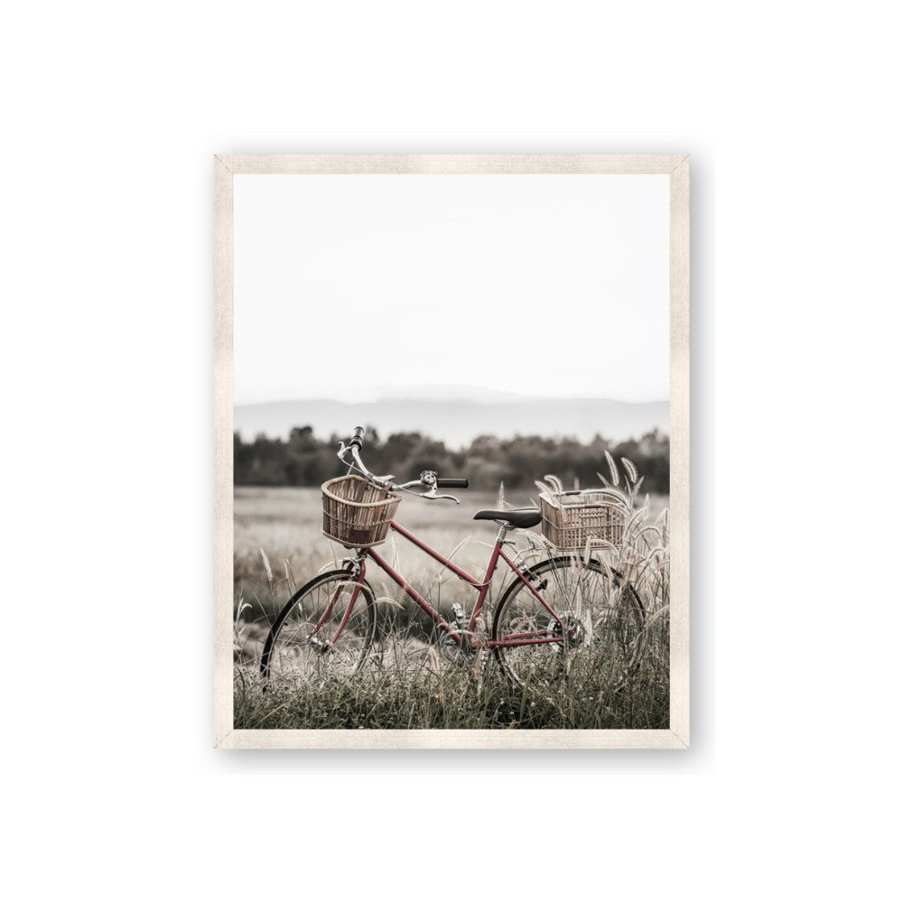 Bicycle Basket