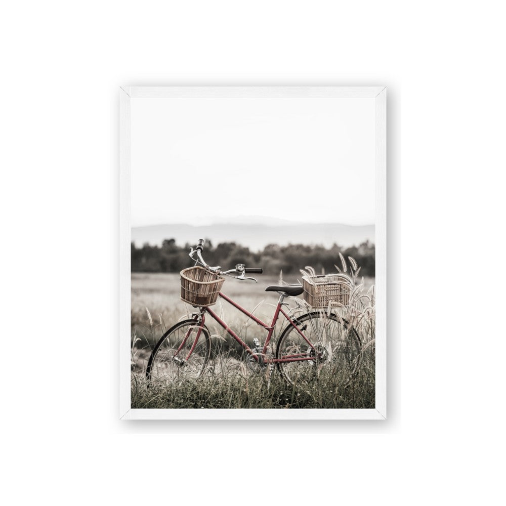 Bicycle Basket