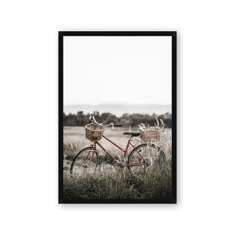 Bicycle Basket