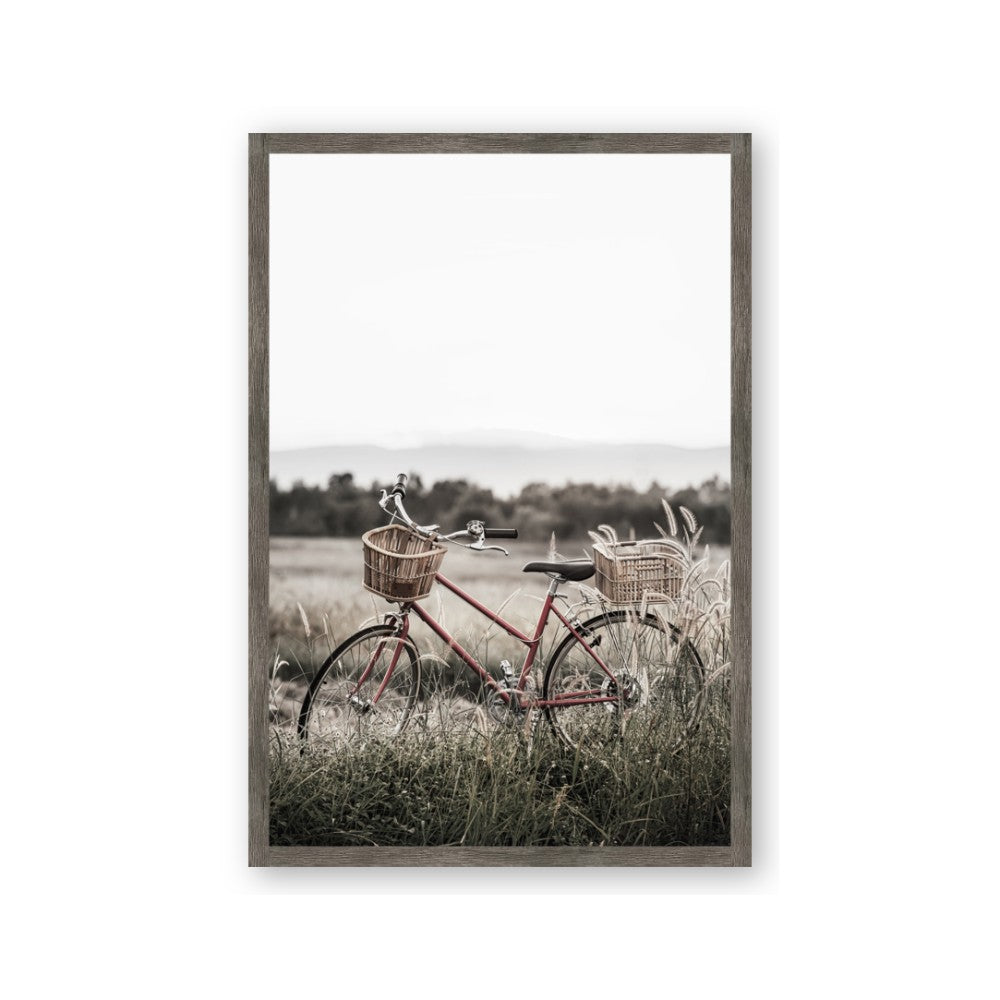 Bicycle Basket