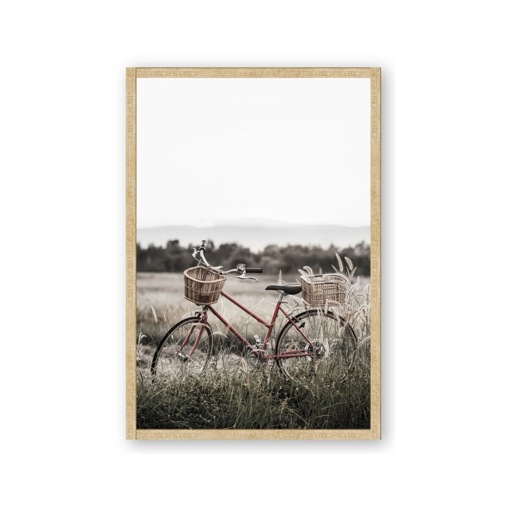 Bicycle Basket
