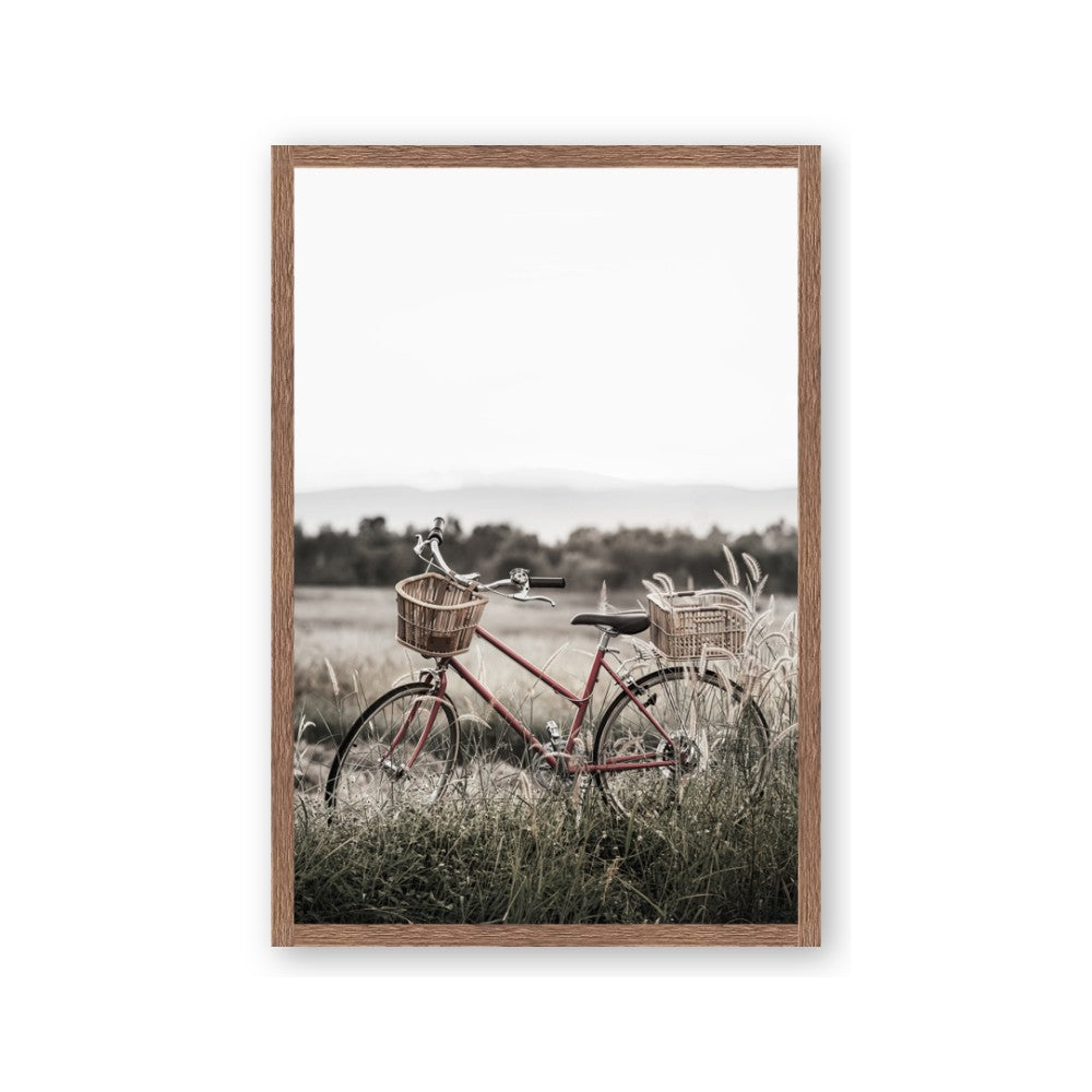 Bicycle Basket