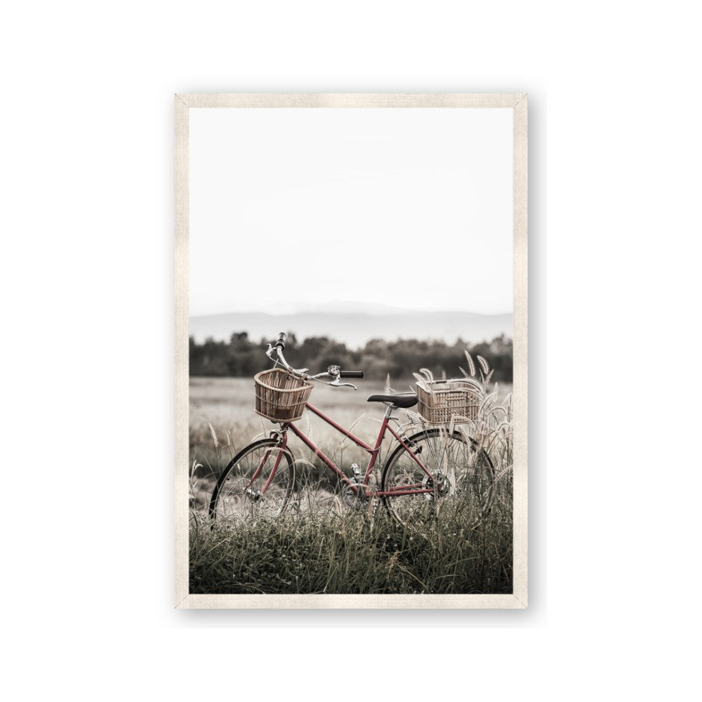 Bicycle Basket