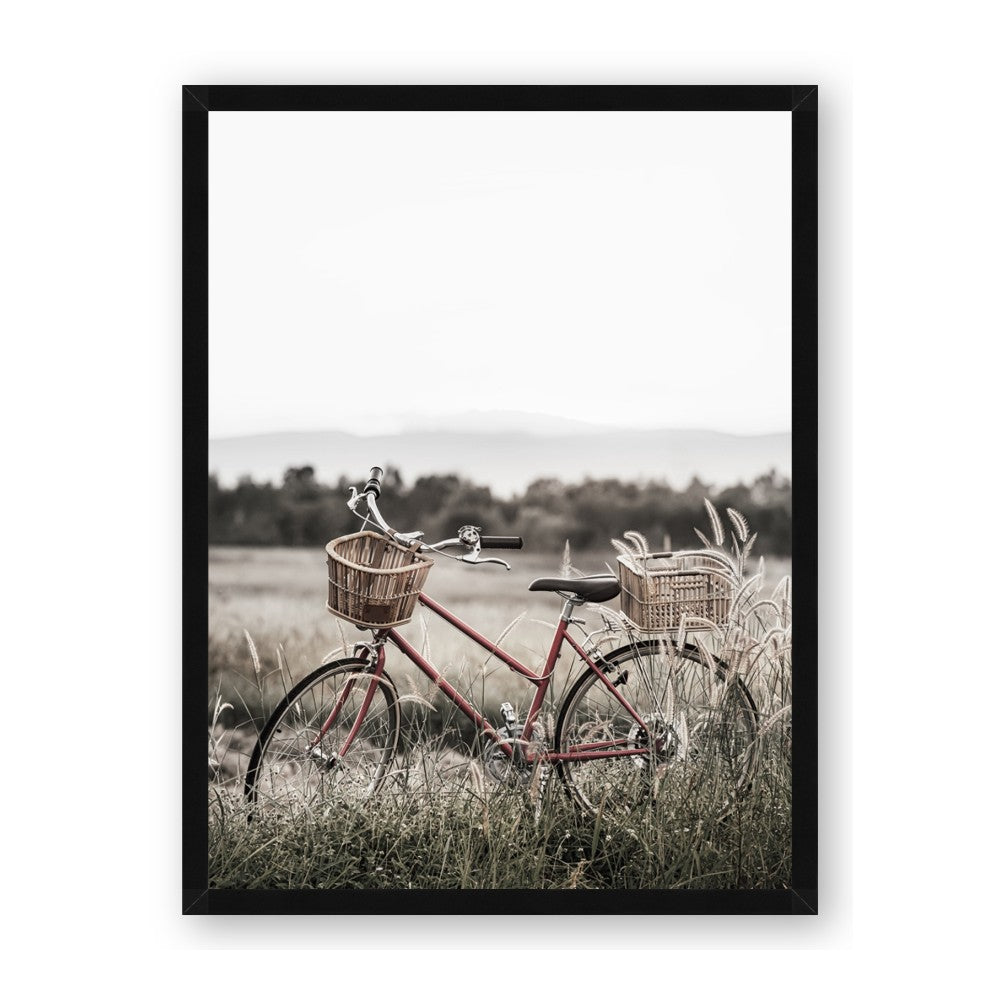 Bicycle Basket
