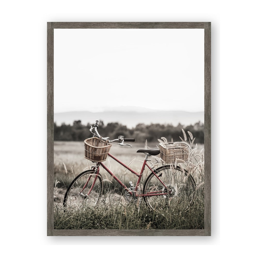Bicycle Basket