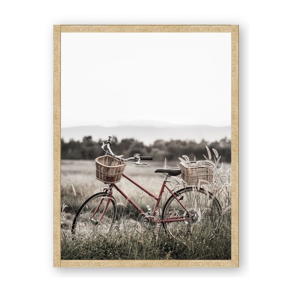 Bicycle Basket