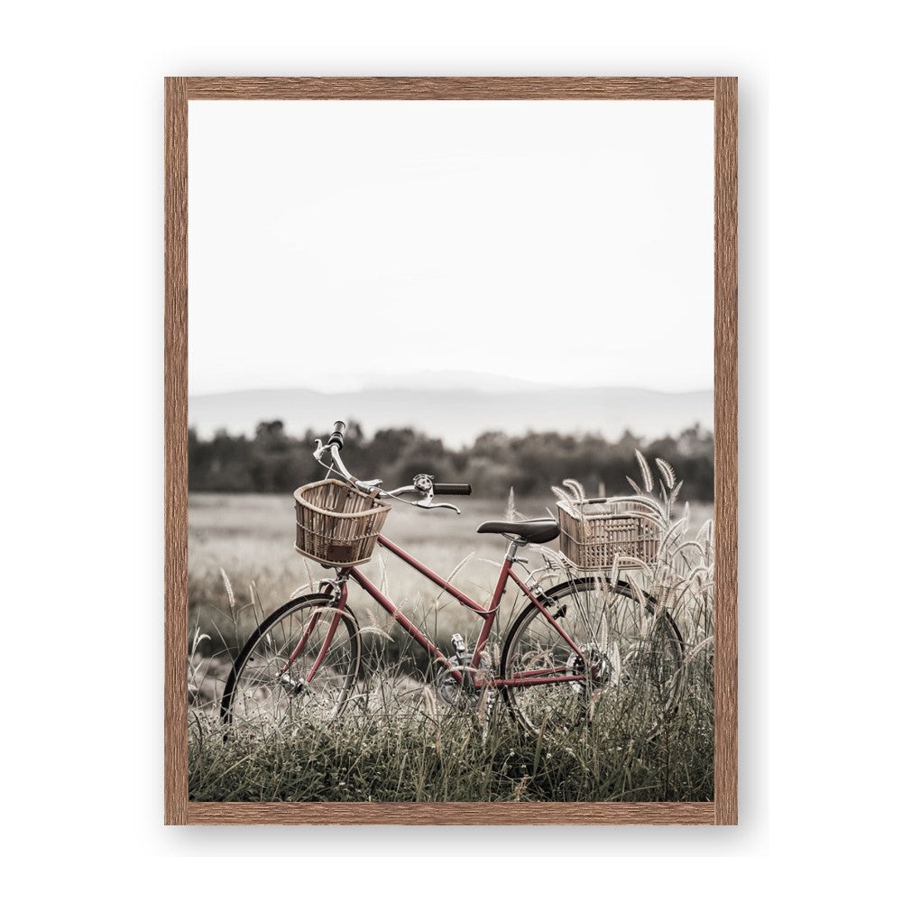 Bicycle Basket
