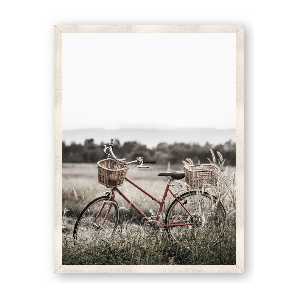 Bicycle Basket