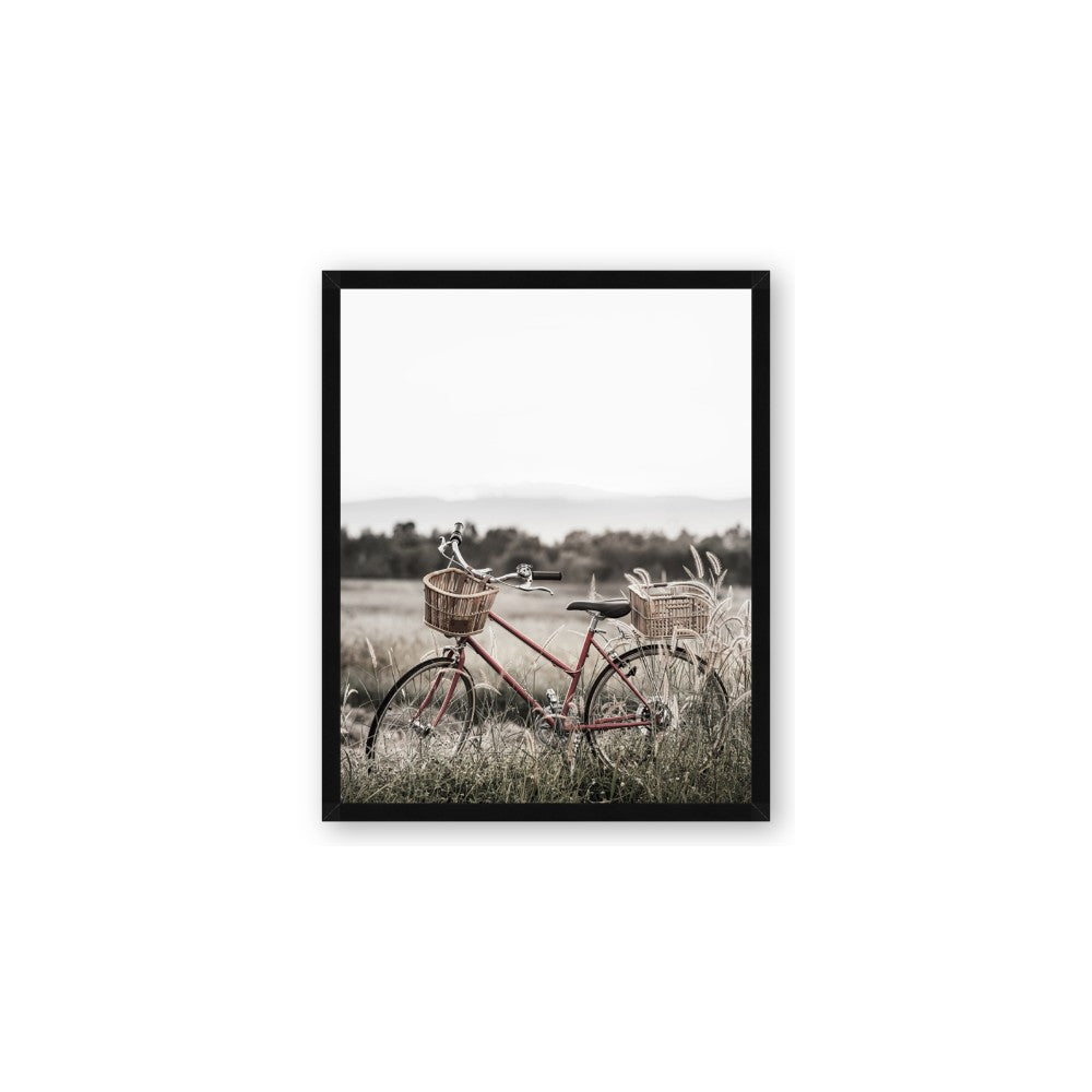 Bicycle Basket