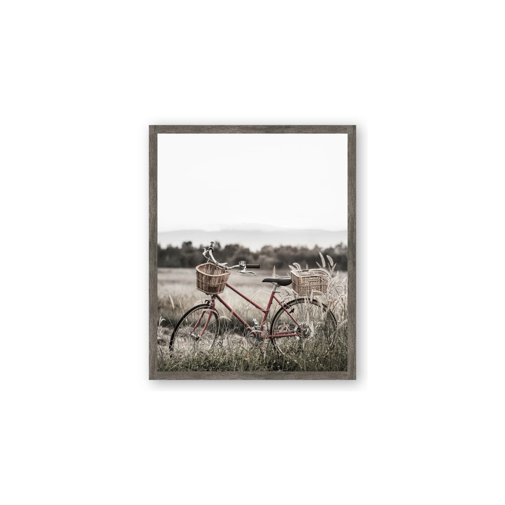 Bicycle Basket