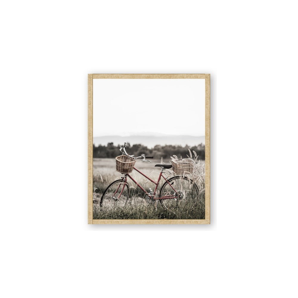 Bicycle Basket
