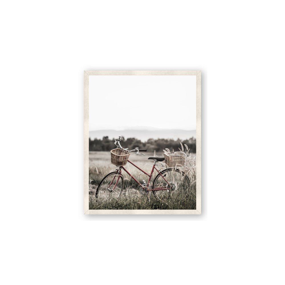 Bicycle Basket