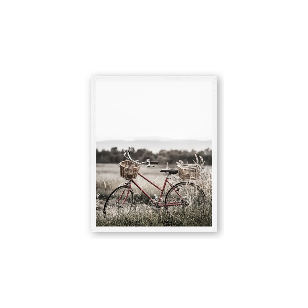 Bicycle Basket