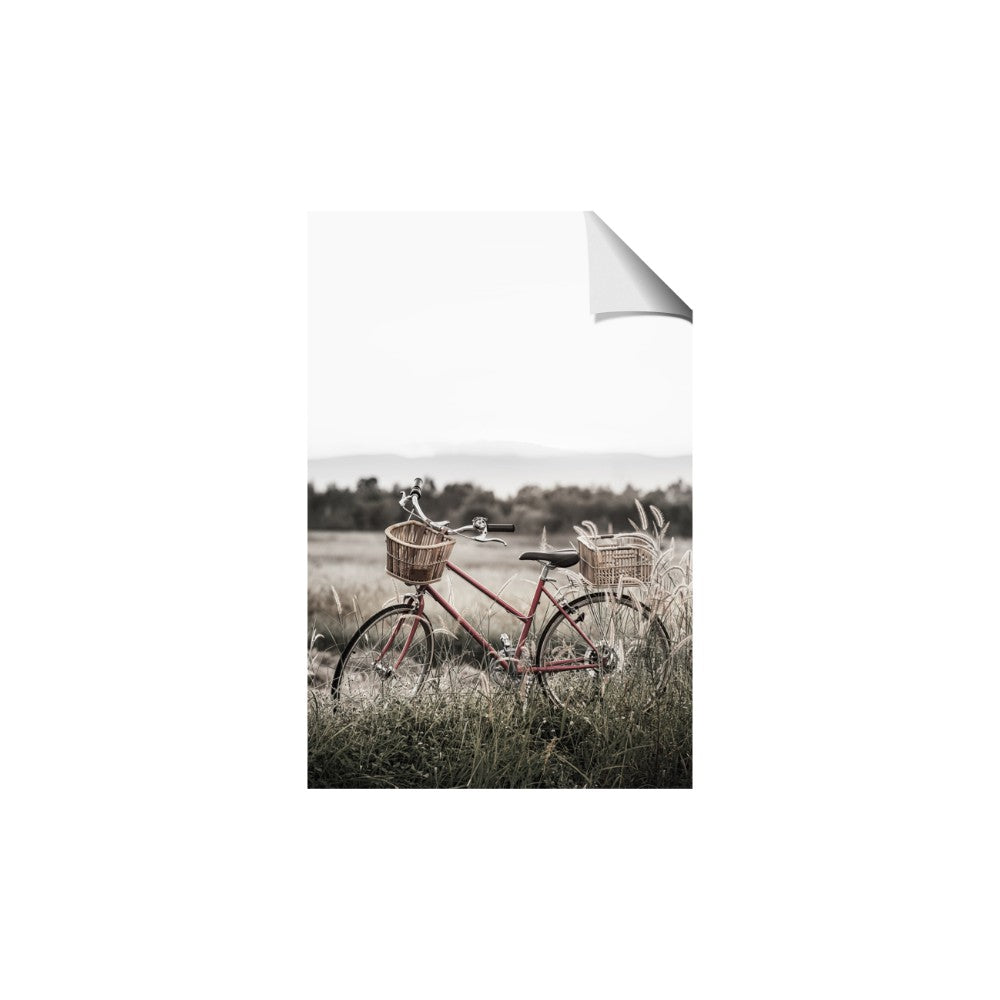 Bicycle Basket