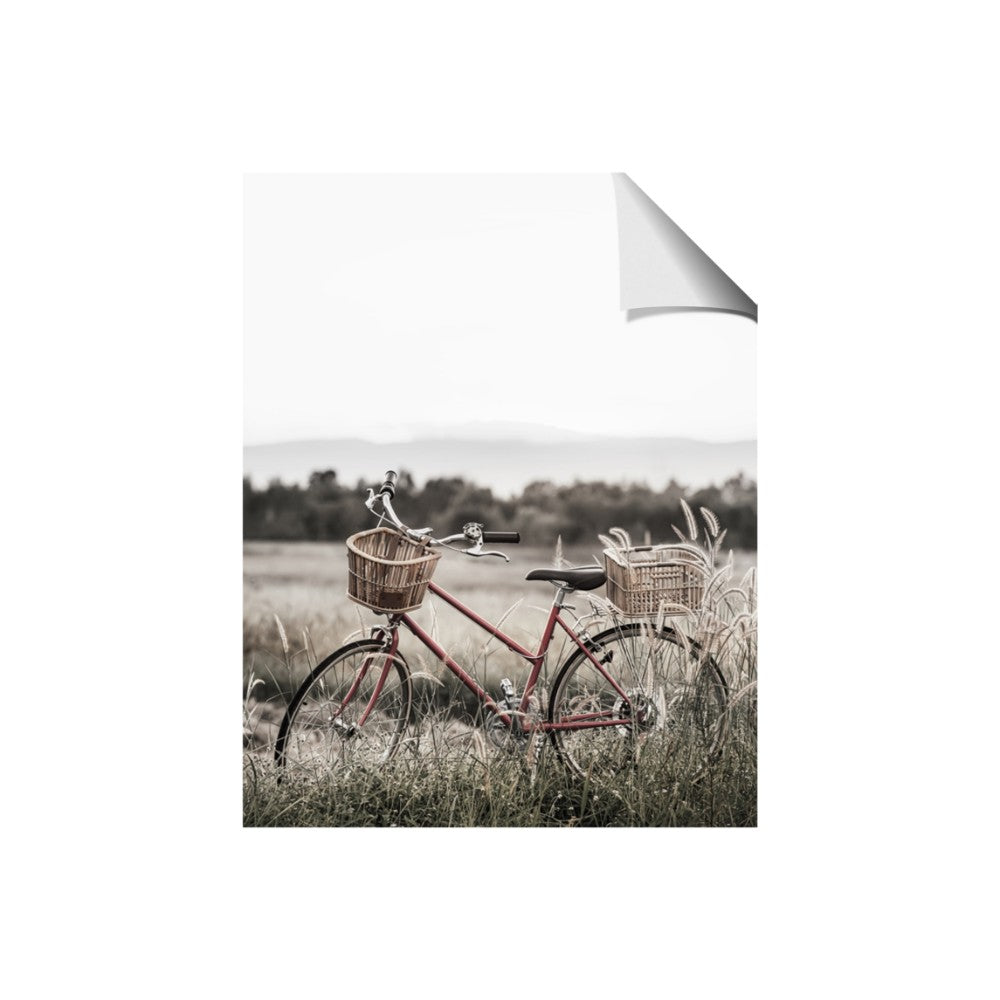 Bicycle Basket