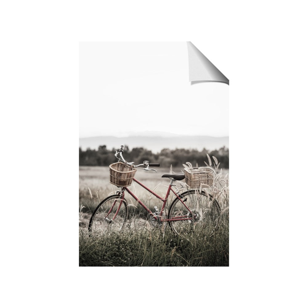 Bicycle Basket