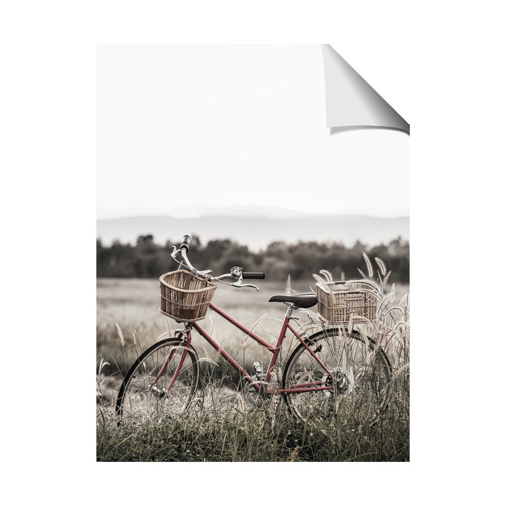 Bicycle Basket