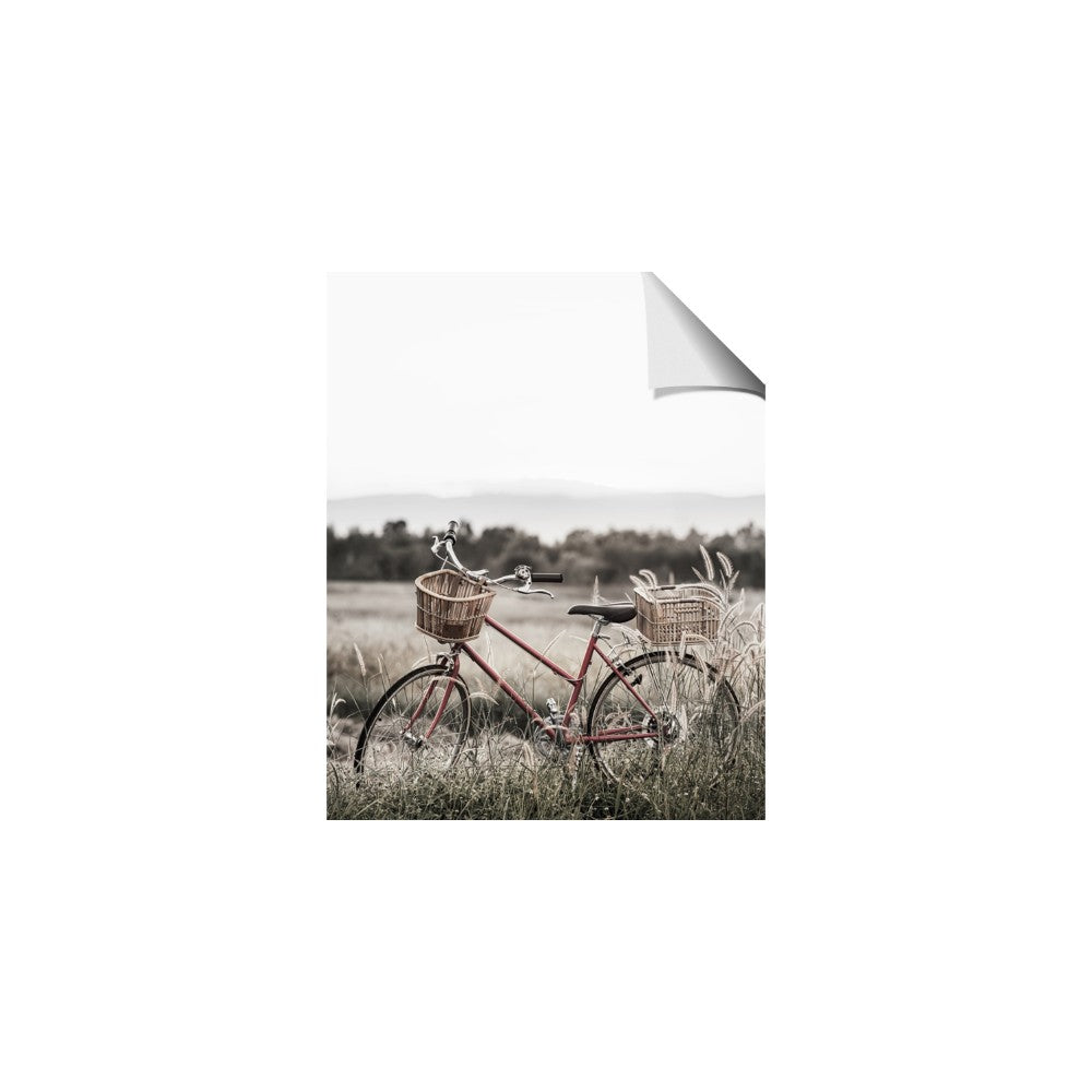 Bicycle Basket