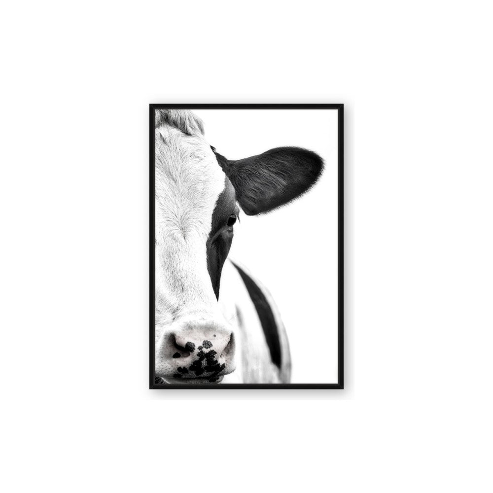 Side Cow