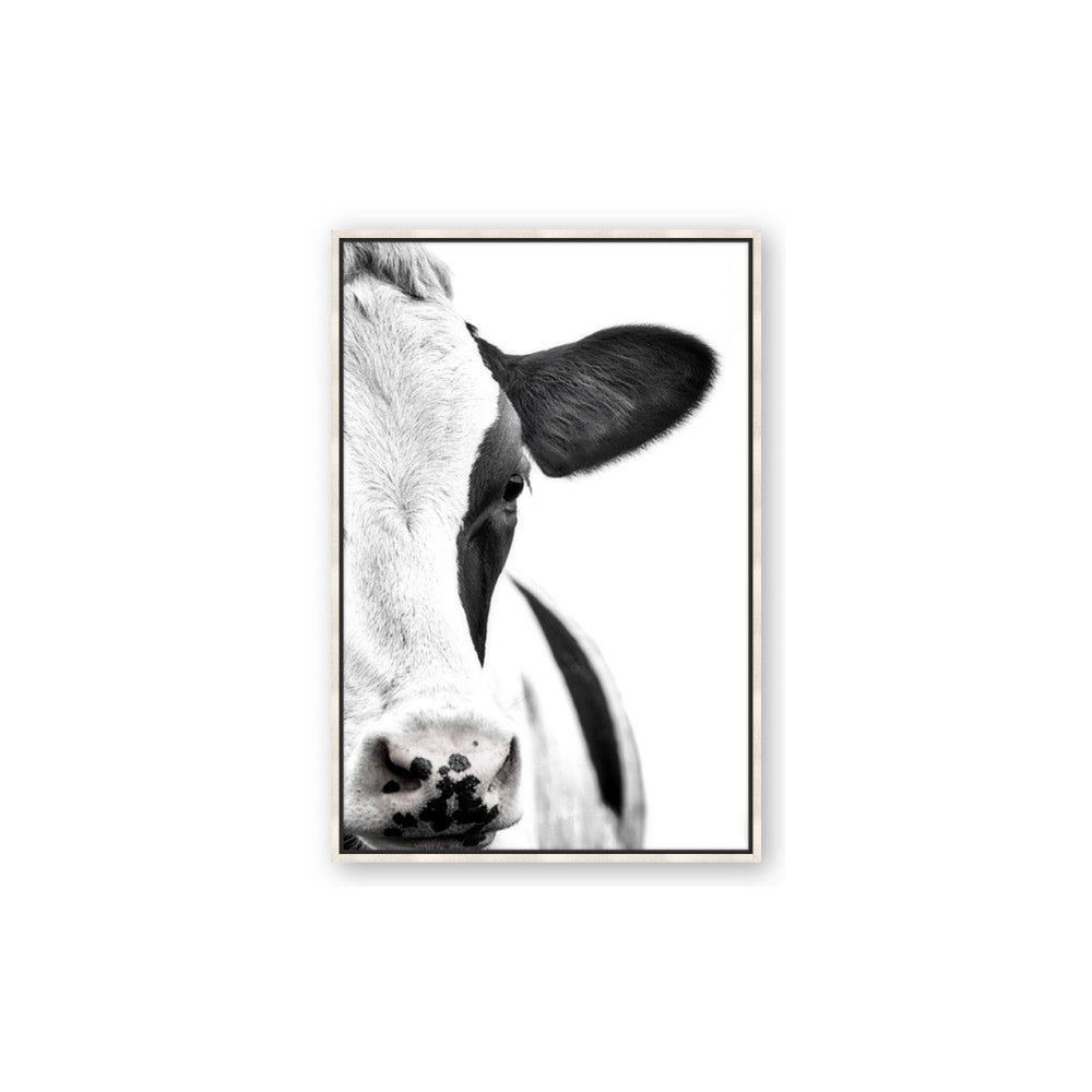 Side Cow