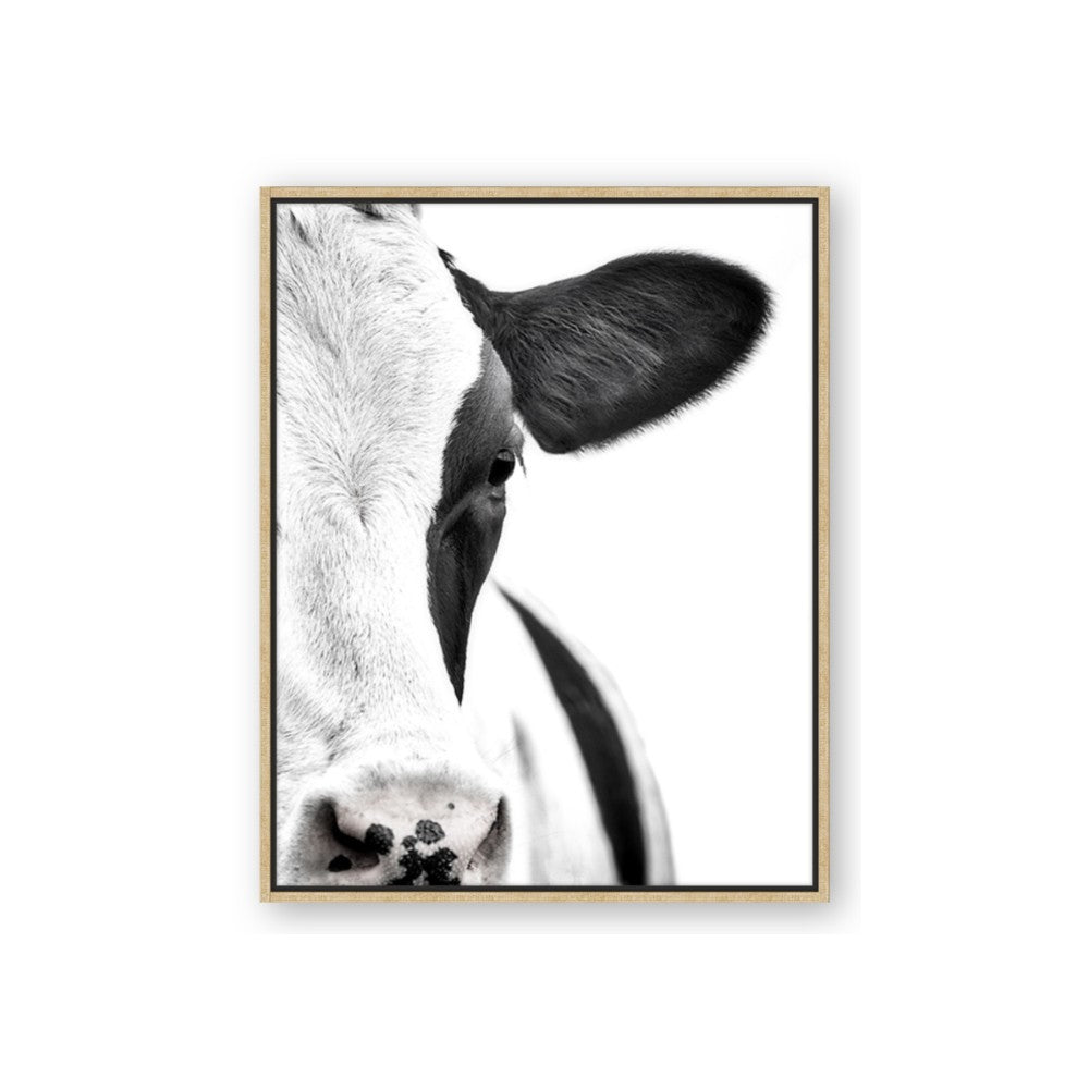 Side Cow