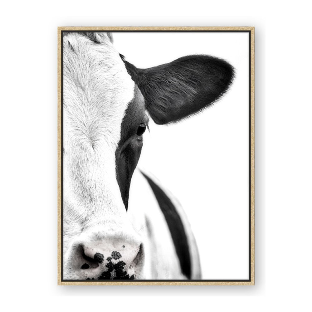 Side Cow