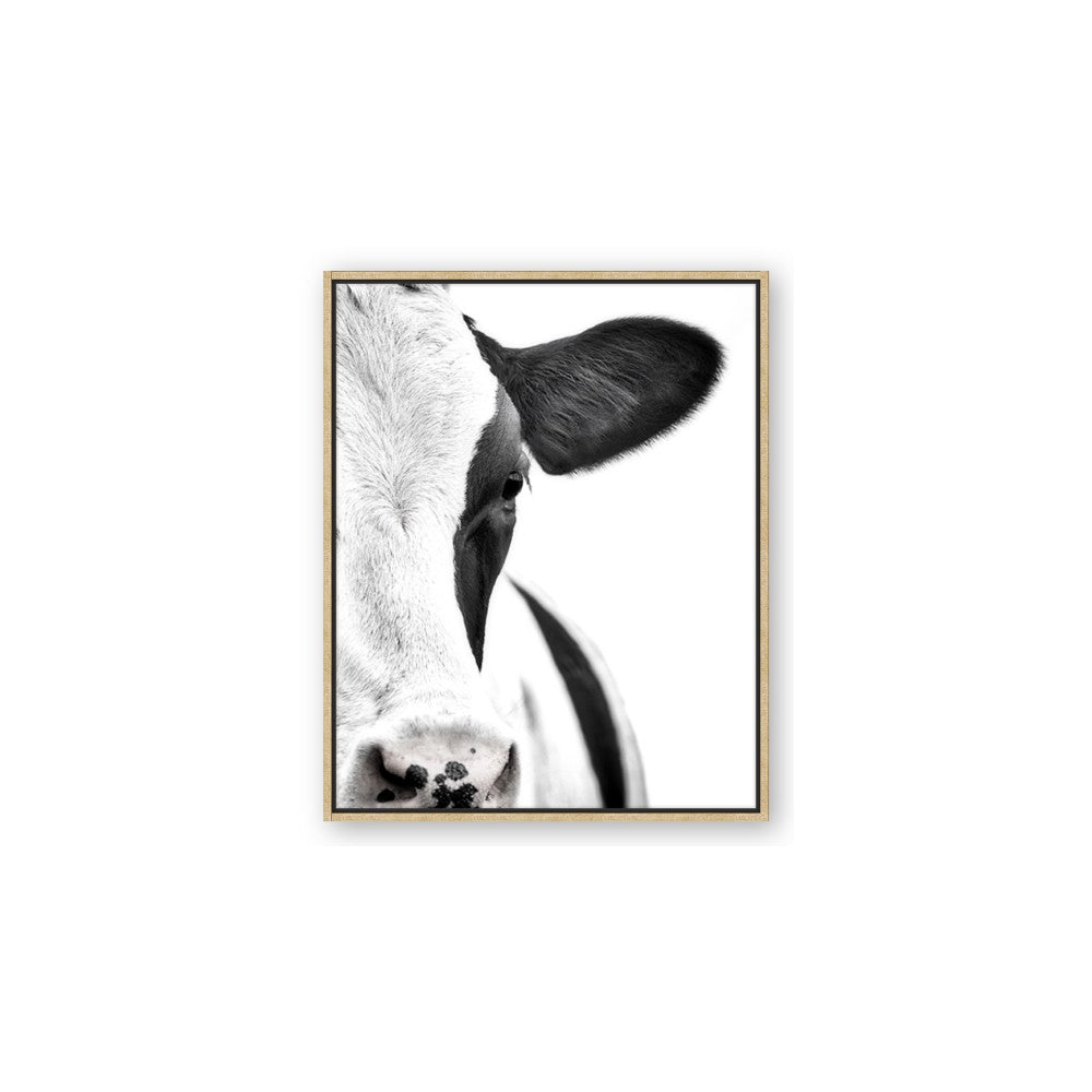 Side Cow