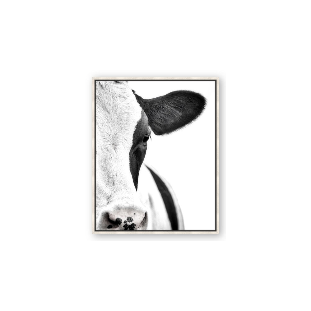 Side Cow