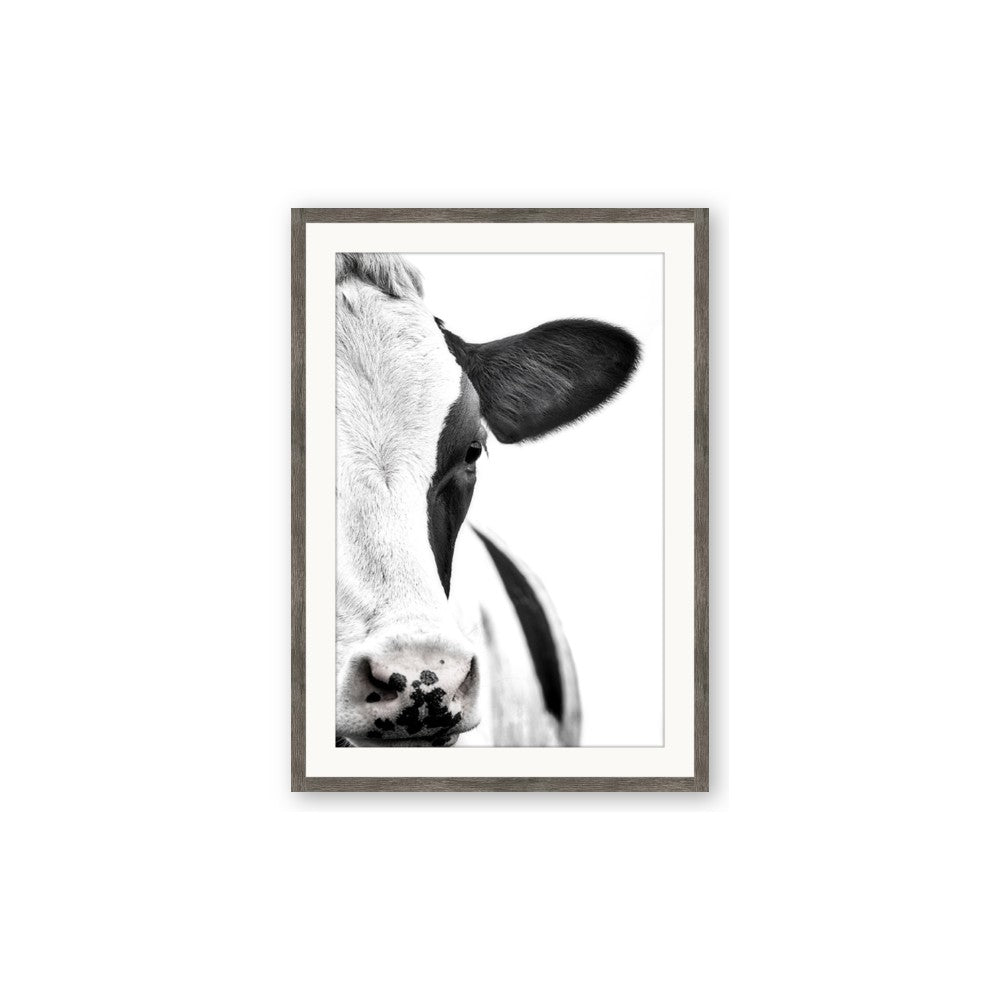 Side Cow