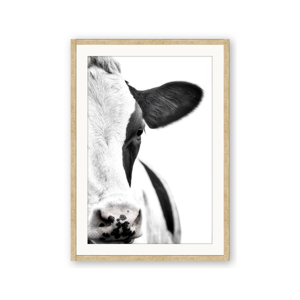 Side Cow