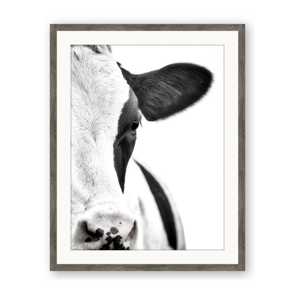 Side Cow