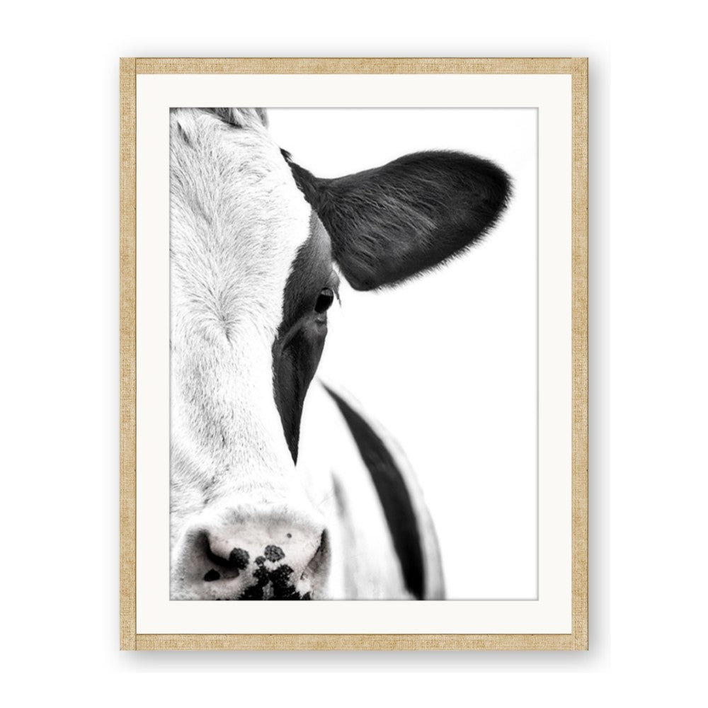 Side Cow
