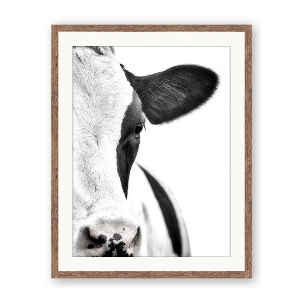 Side Cow