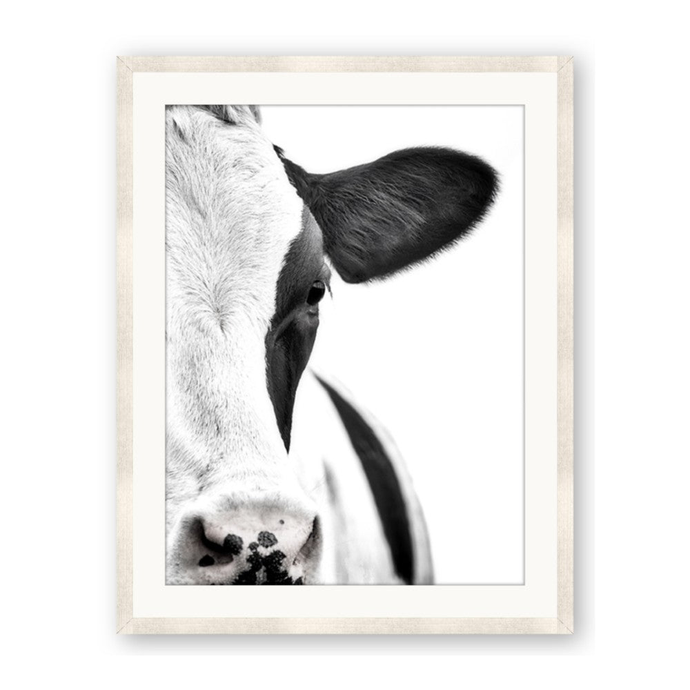 Side Cow