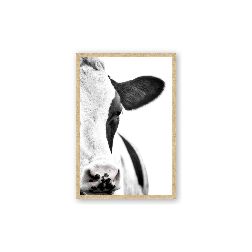 Side Cow