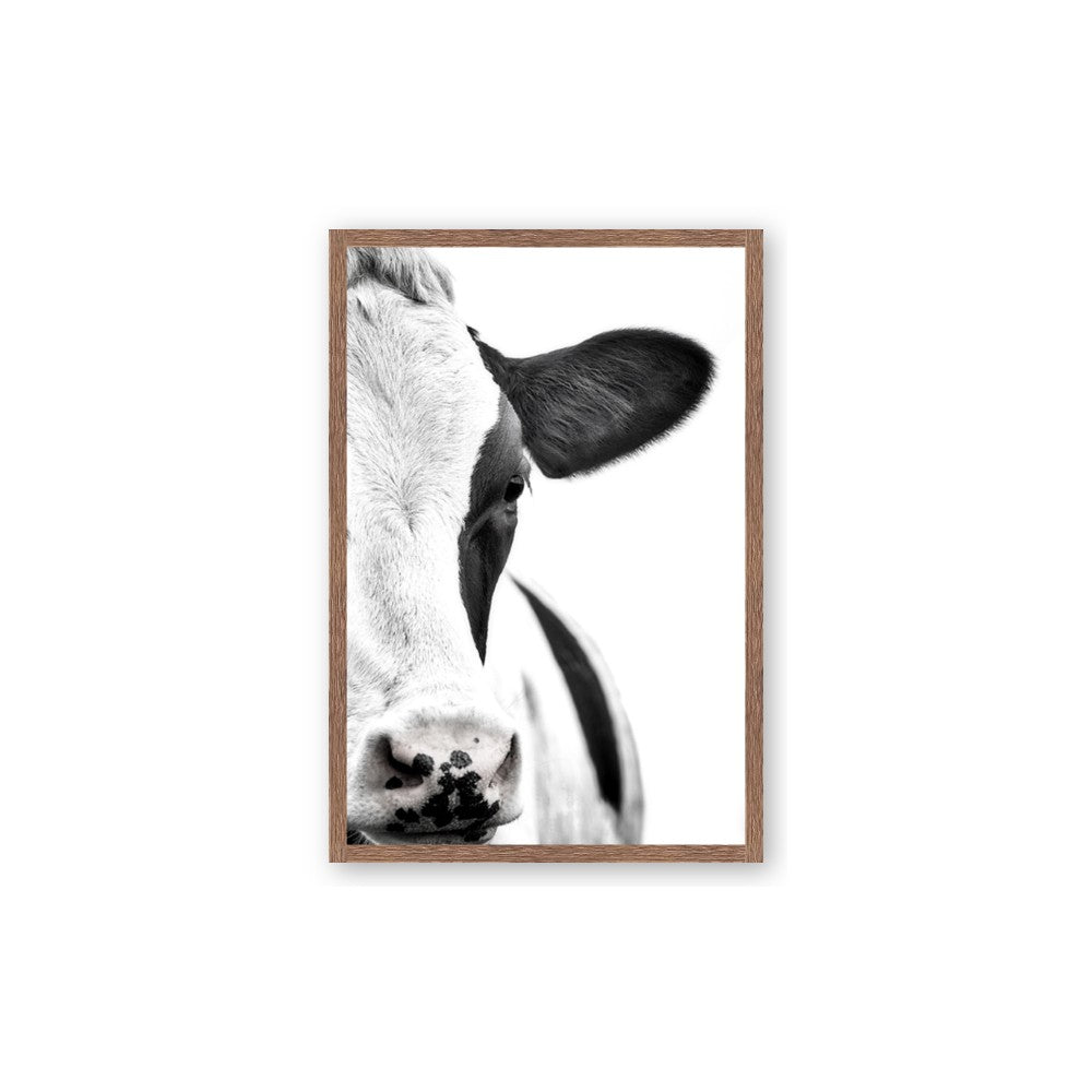 Side Cow