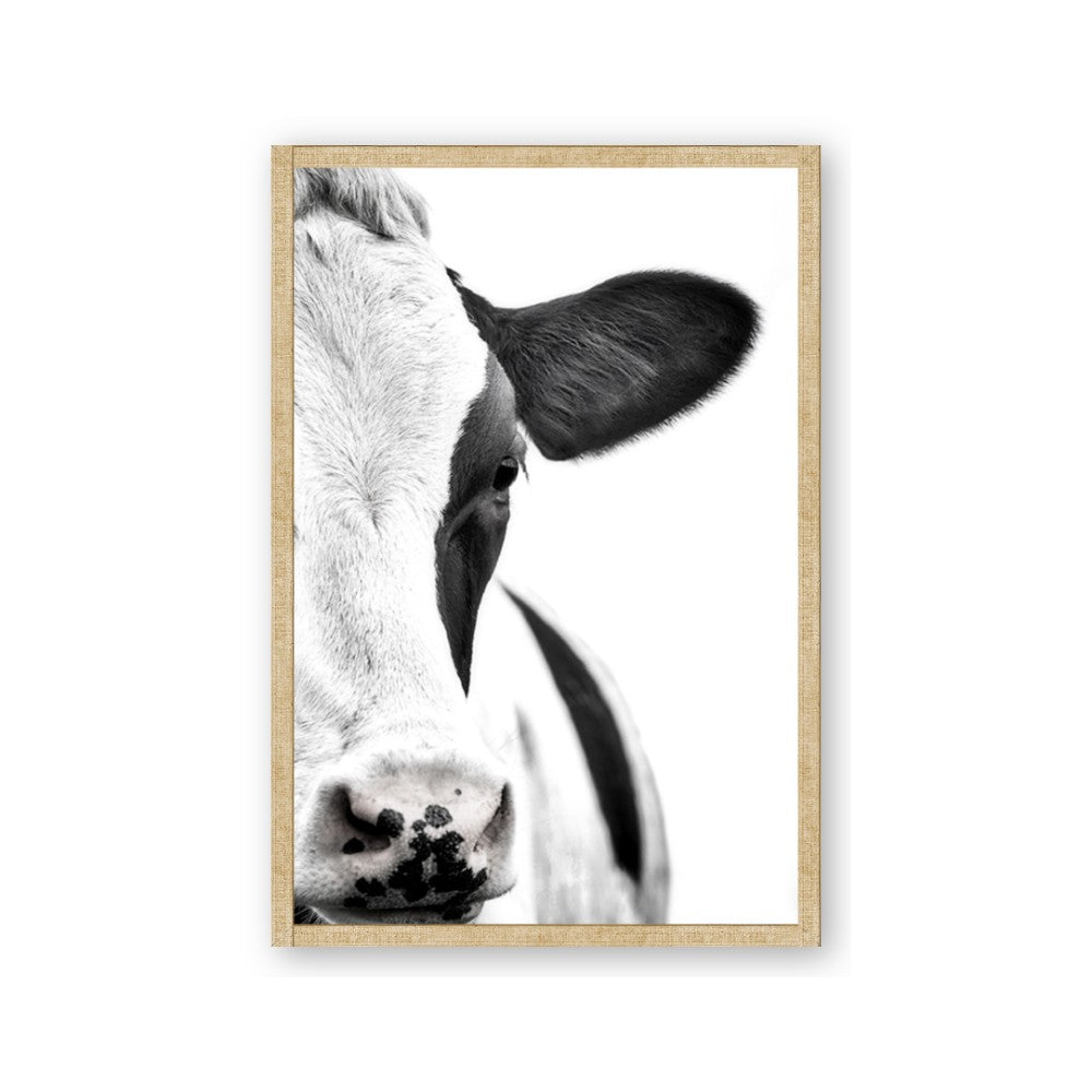 Side Cow