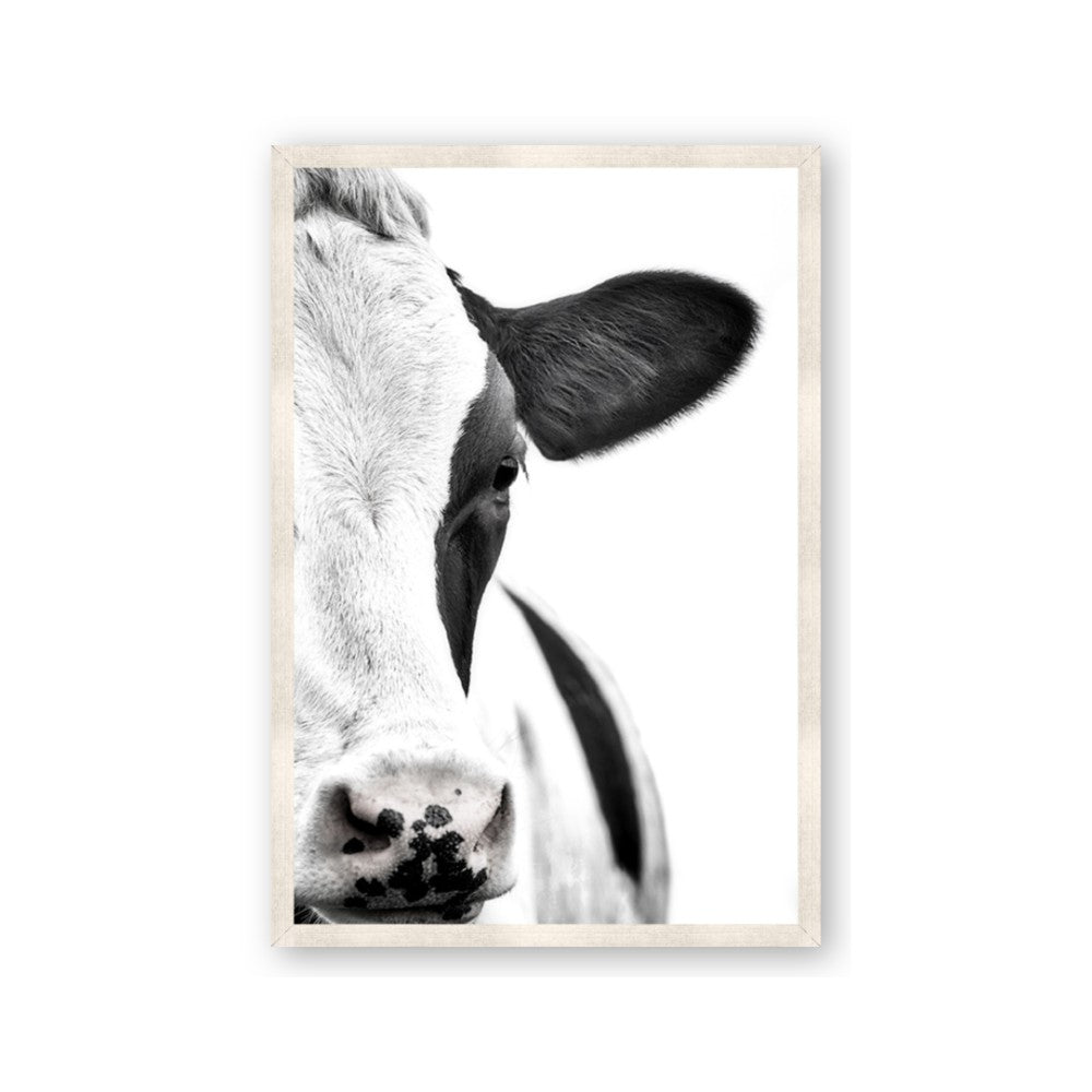 Side Cow