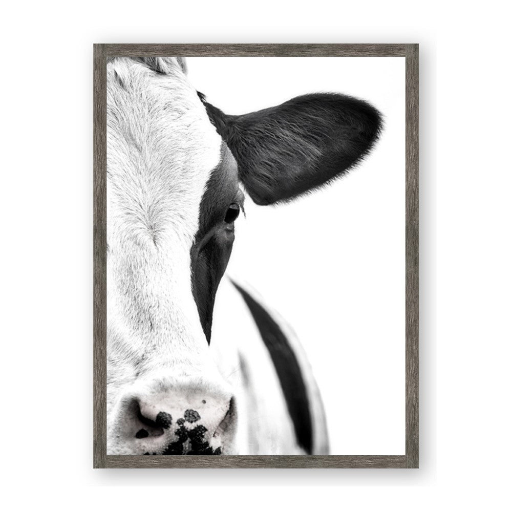 Side Cow