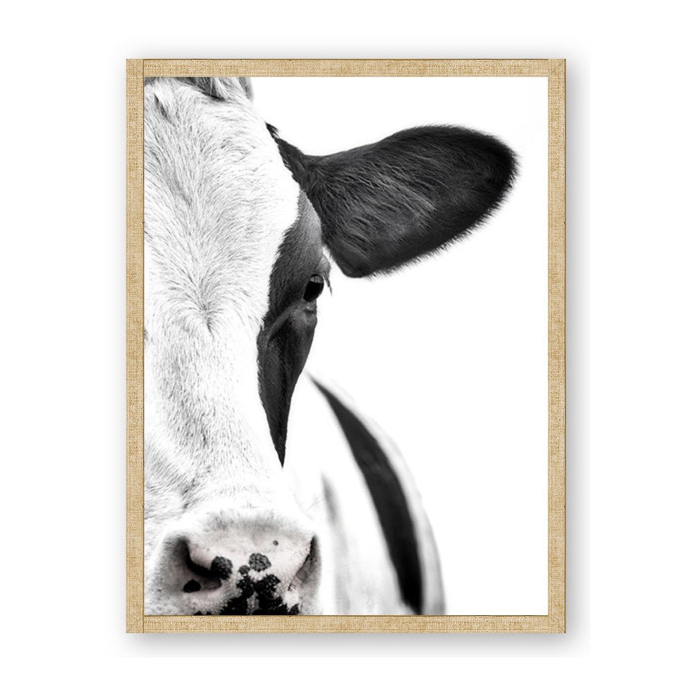 Side Cow