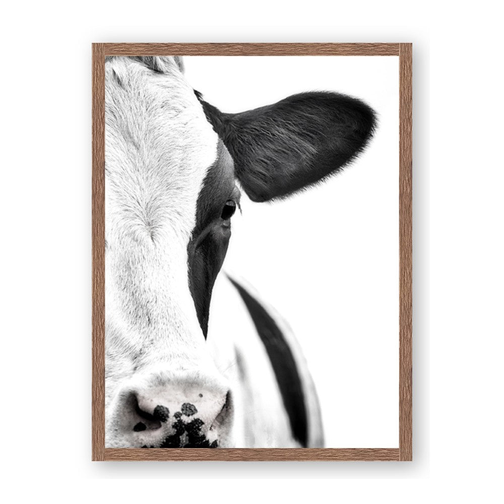 Side Cow