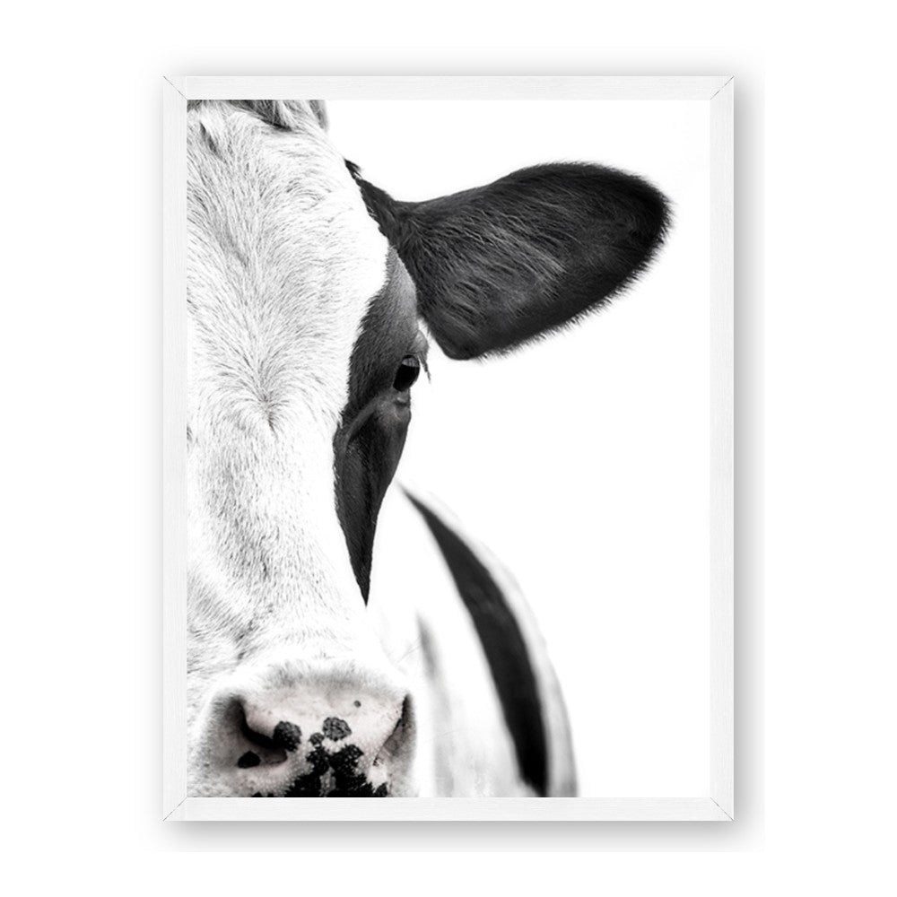 Side Cow