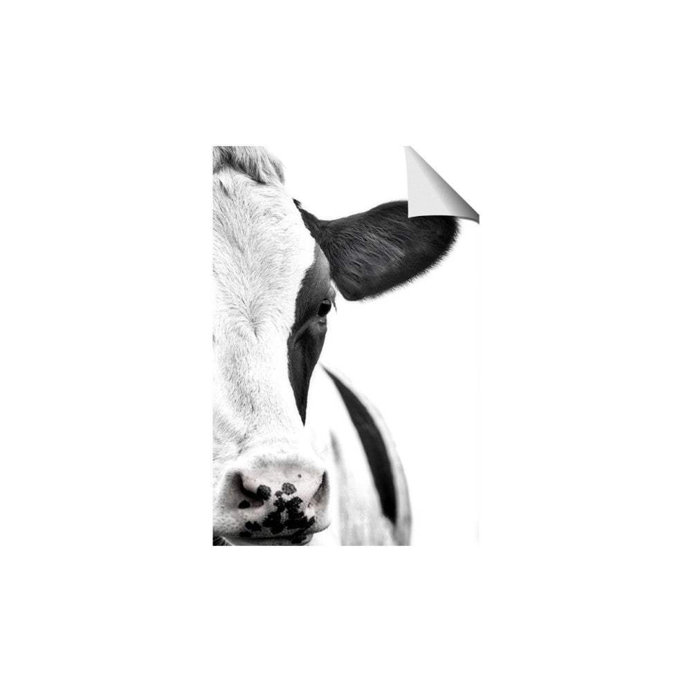 Side Cow
