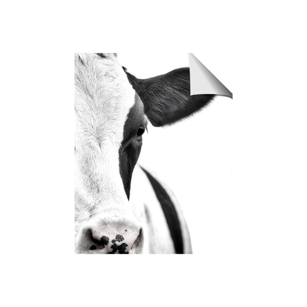 Side Cow