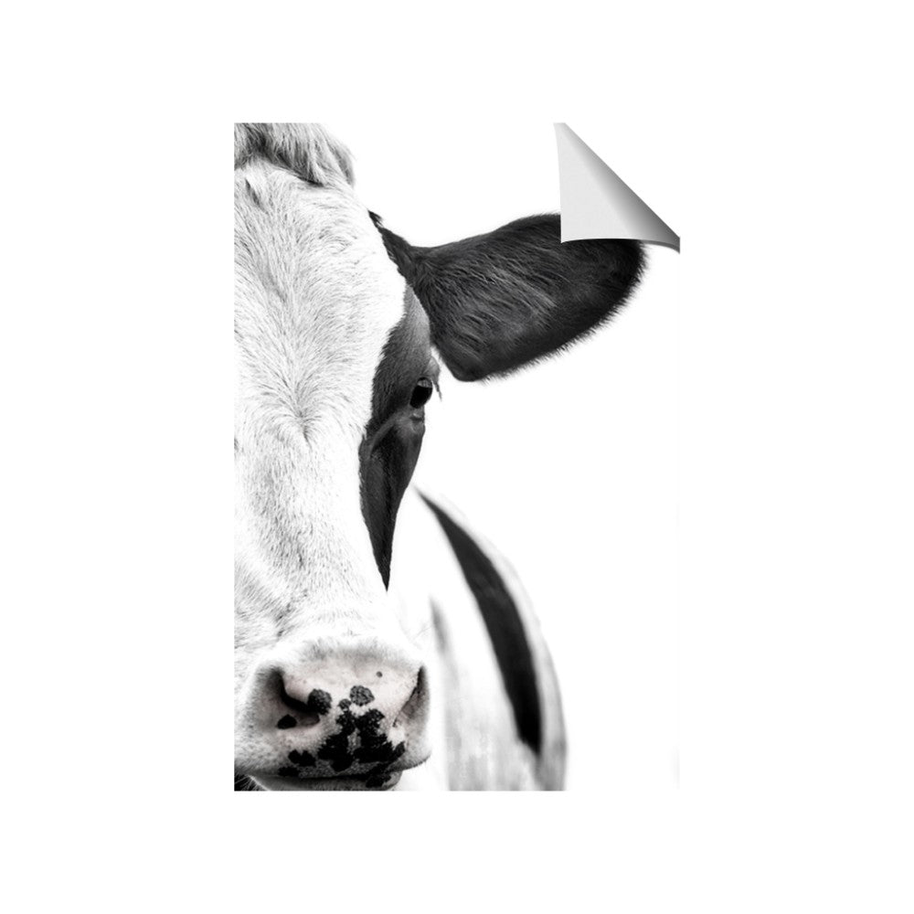 Side Cow