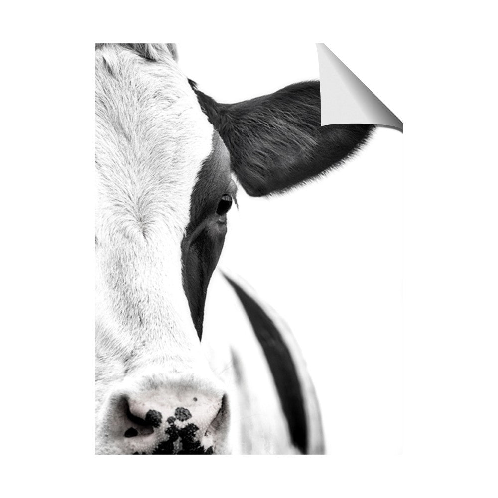 Side Cow