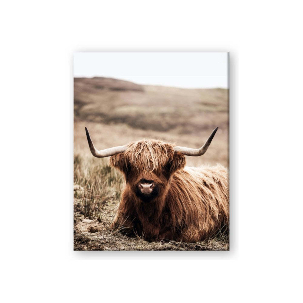 Furry Brown Cow